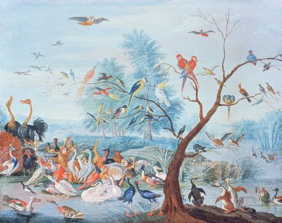 Tropische Vögel in einer Landschaft von Jan van Kessel the Elder